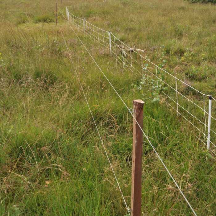Epingle courte pour Insultimber/Eco (1000)
