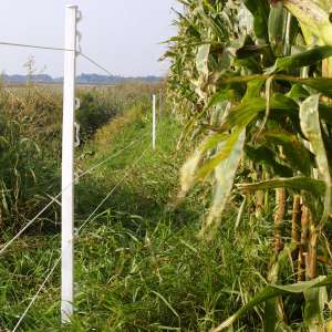 Piquet d'ancrage au sol (5) - Agro-Équipements