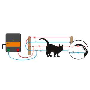 Photo de Kit de clôture électrique pour chat