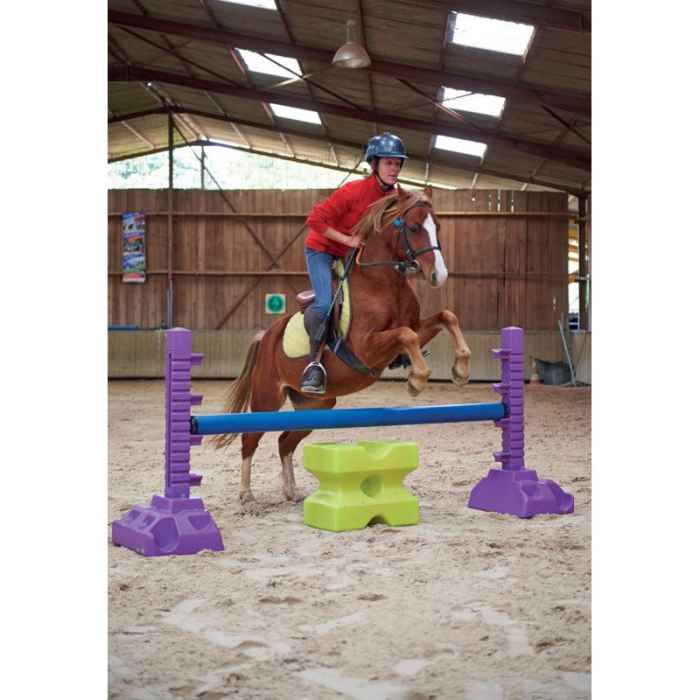 Chandelle 1.10 m Easy Pro Jump Mauve