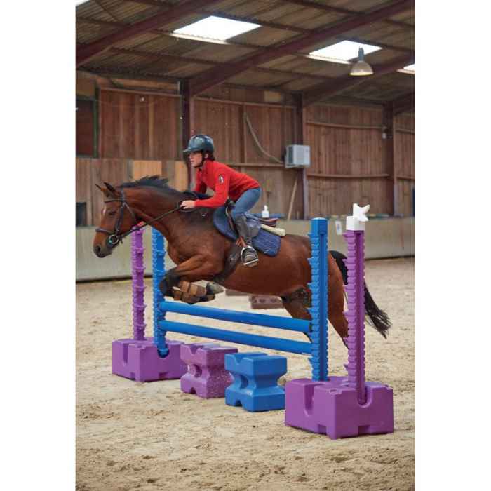 Chandelle 1.70 m Easy Pro Jump Mauve