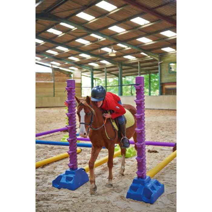 Chandelle 1.70 m Easy Pro Jump Mauve