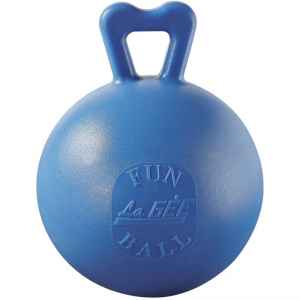 Photo de Fun Ball Bleue 