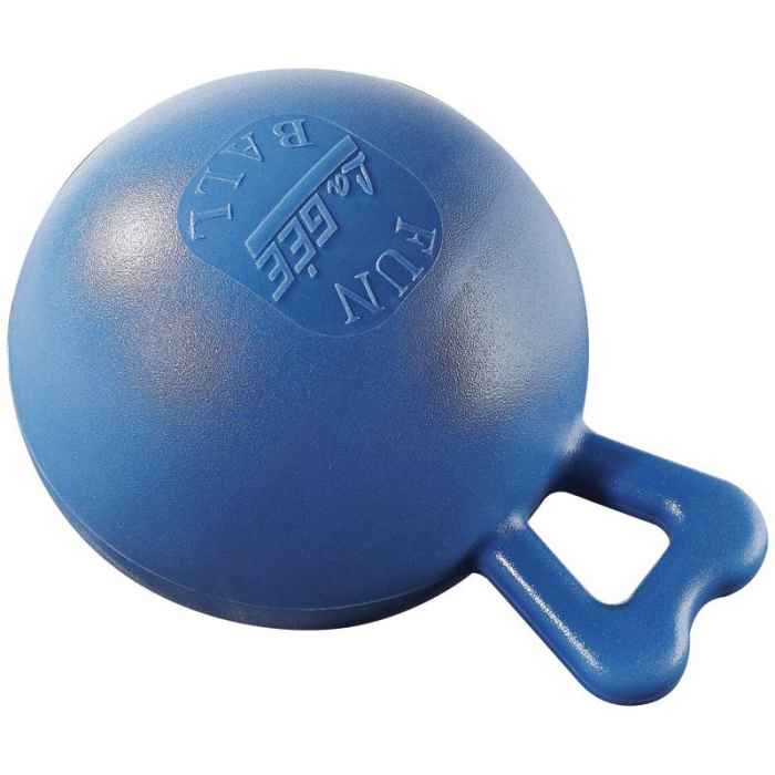 Fun Ball Bleue 