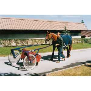 Photo de Malle roulante pour trotteurs grenat 