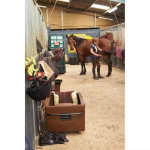 Photo de Malle horizontale roulante pour chevaux de selle marron