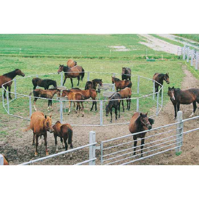Pack nourrisseur à poulains circulaire et parc