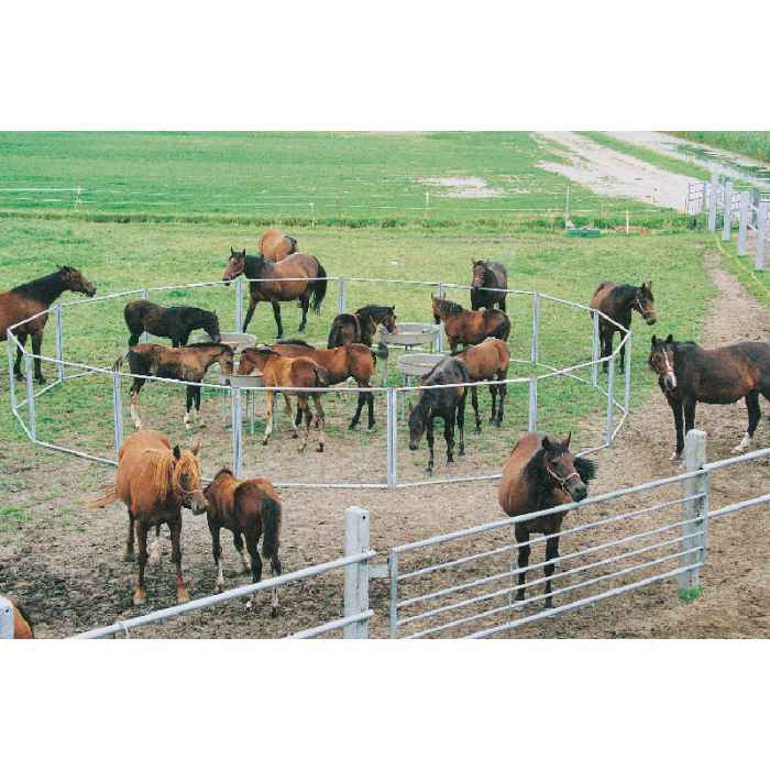 Pack nourrisseur à poulains circulaire et parc