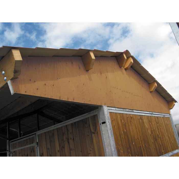 Box  3 x 3 m double pente Pin du Nord toiture fibro-ciment