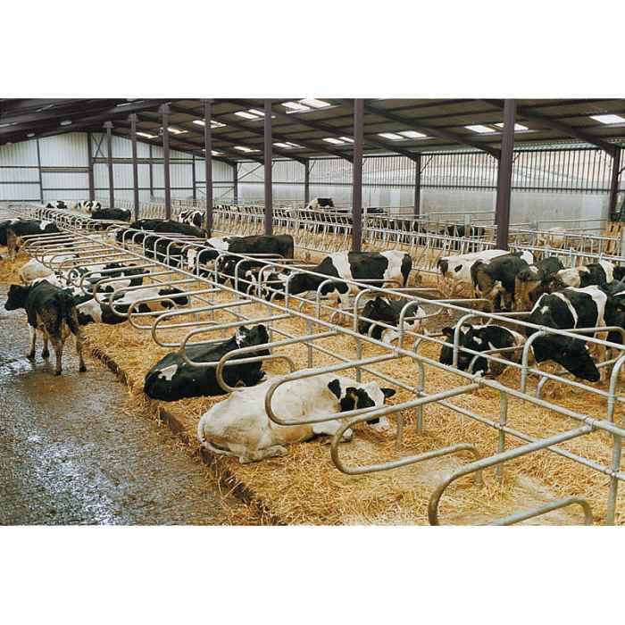 Bat-flanc de logette ''super confort adulte'' diam.60.3 Lg 1.97m