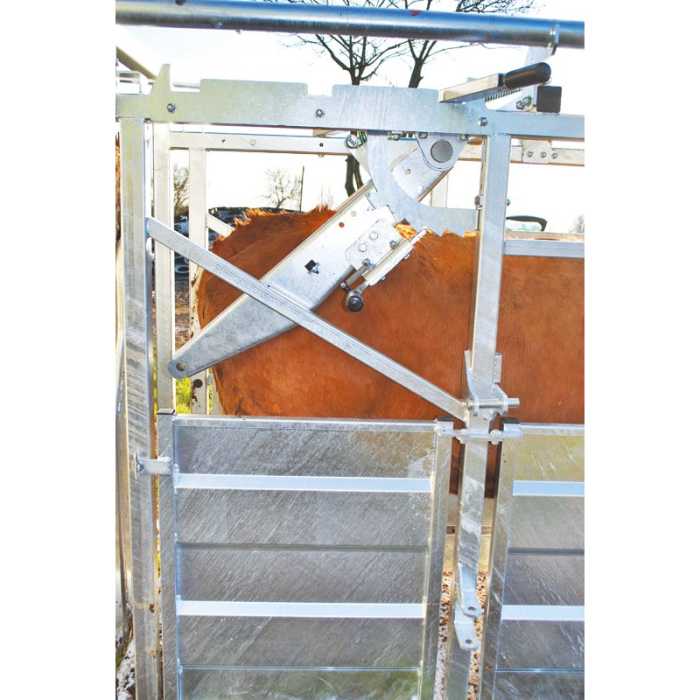 Cage de contention LFM - 4 portillons - Parois largeur fixe - Panneaux latéraux