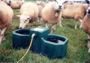 Photo de Bac pour stabulations libres et pâture Mod. WT80