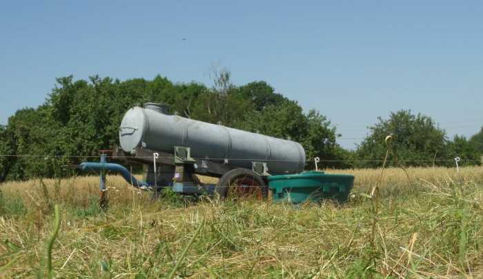 Bac pour pâture WT400