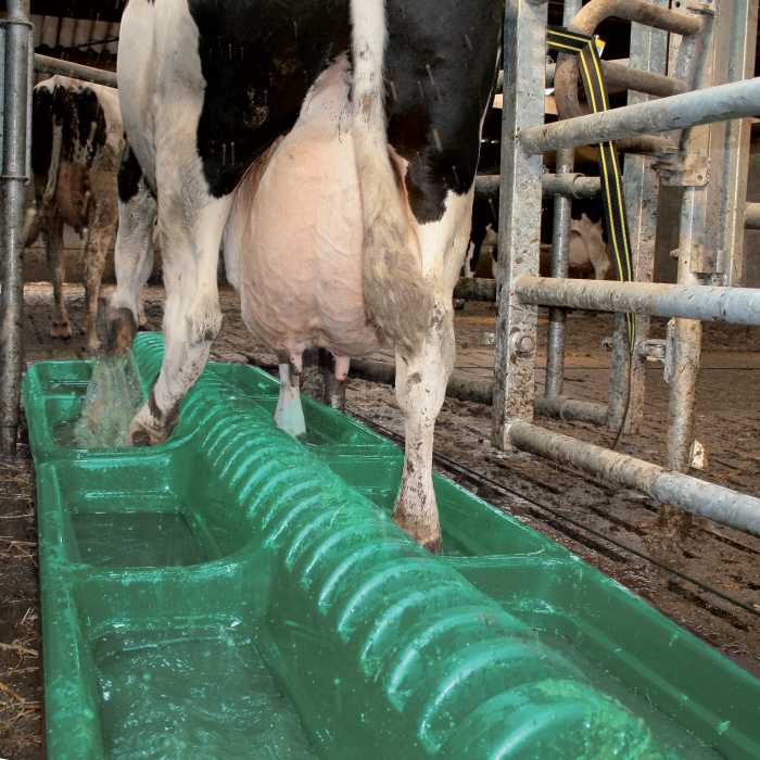 PÉDILUVE ANTI-BOUSES POUR BOVINS (PRODUITS EN POUDRE OU LIQUIDES)