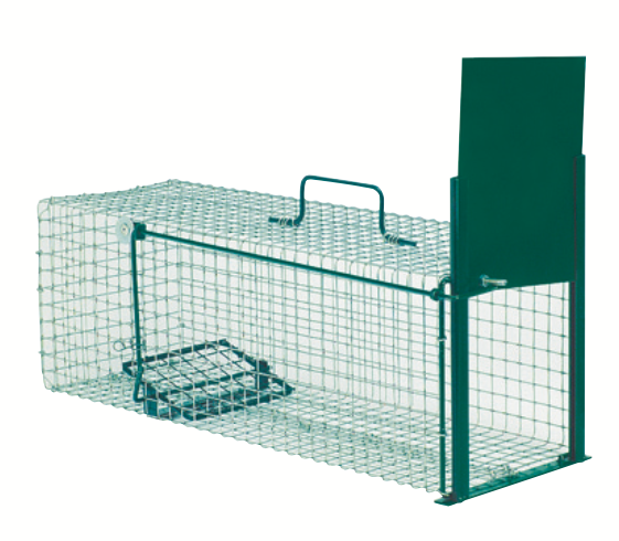 Piège sous forme de cage métallique 21