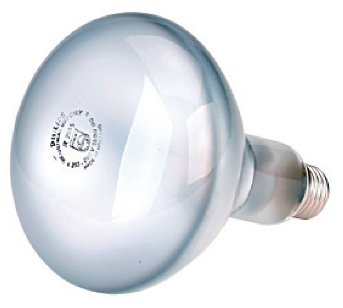 Ampoule blanche 250 watt