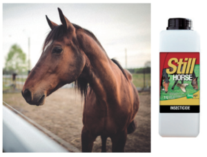 Photo de STILL Horse 1000ml