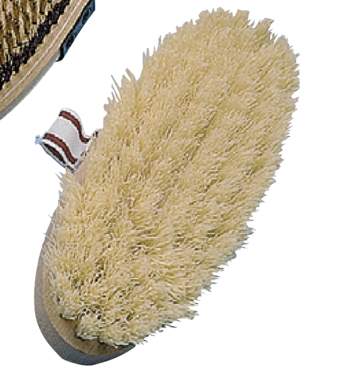 Brosse dure chiendent nylon