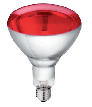 Photo de Ampoule infrarouge PHILIPS 250 watt