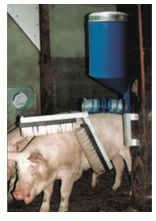 Modèle pour porcs - Système de brosse d'étable double avec passage pour produit