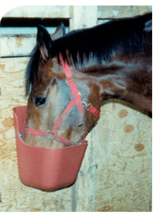 Mangeoire 11,5L pour bovins et chevaux BRUN 110-01