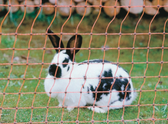 Treillis plastique 12m lapin