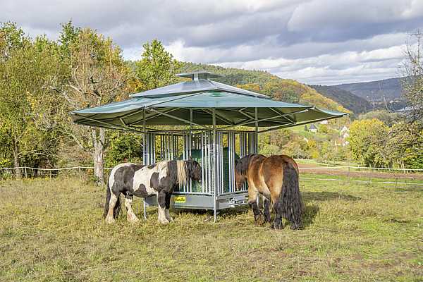 Toit pour râtelier bioclimatique, pour tous les râteliers carrés Pro