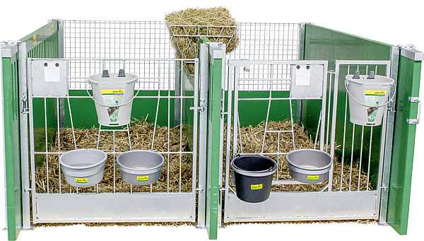 Porte double avec verrou pour box à veaux