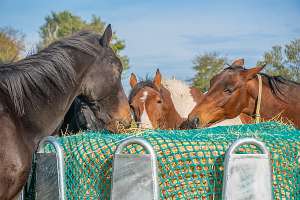 Photo de Filet à foin pour chevaux 2,80x2,80m complet avec corde élastique et crochet