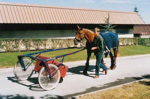 Équipement du cheval