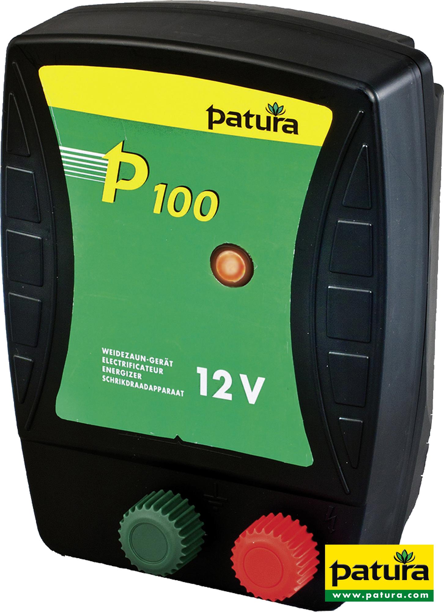 Photo de P100, électrificateur sur batterie 12 V